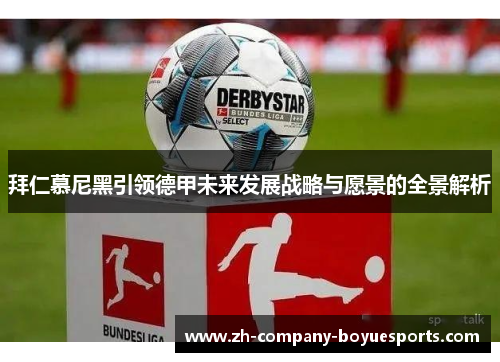 拜仁慕尼黑引领德甲未来发展战略与愿景的全景解析