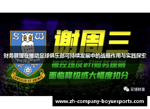 财务管理在推动足球俱乐部可持续发展中的战略作用与实践探索 财务管理在推动足球俱乐部可持续发展中的战略作用与实践探索